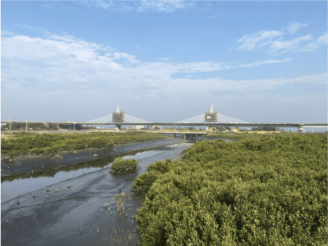 生態保育-河川水質環境監測